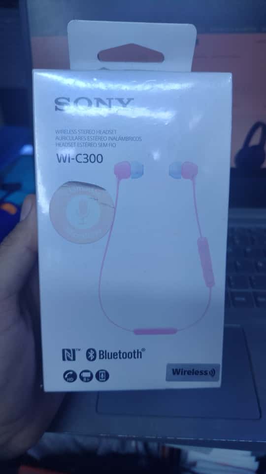 SONY WI-C300